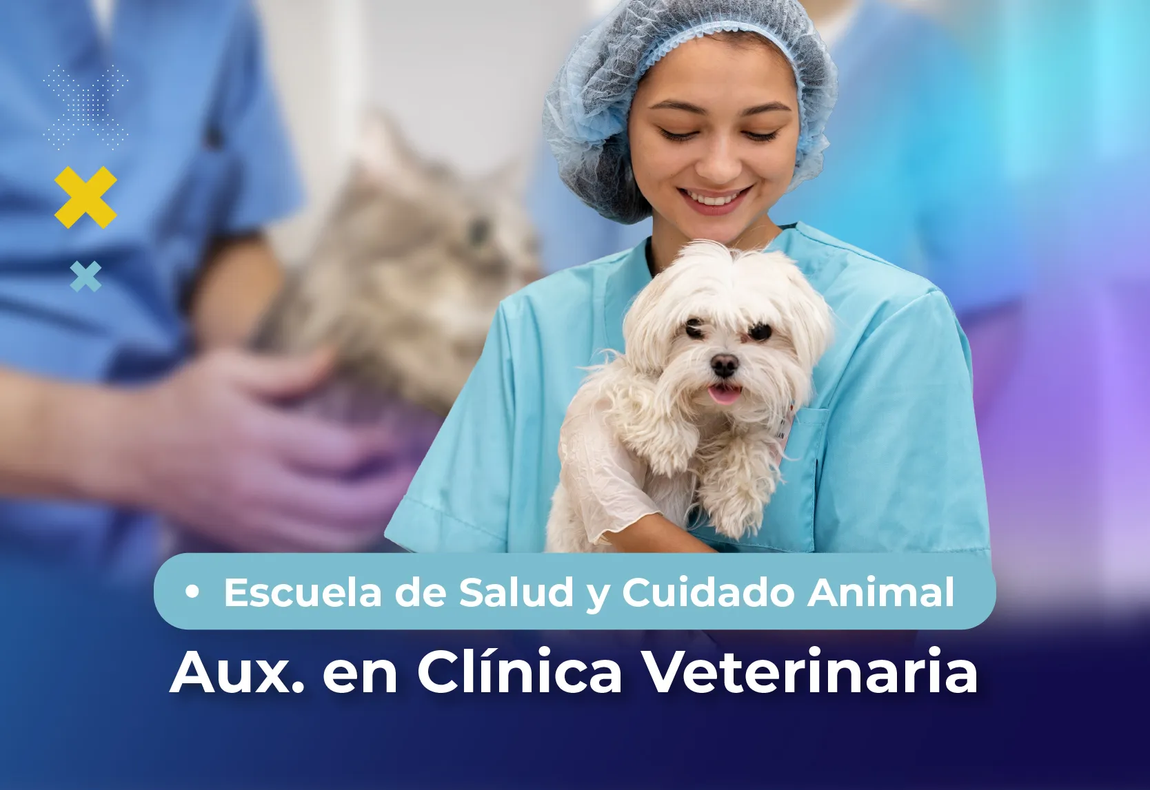Programa de Auxiliar en Medicina Veterinaria